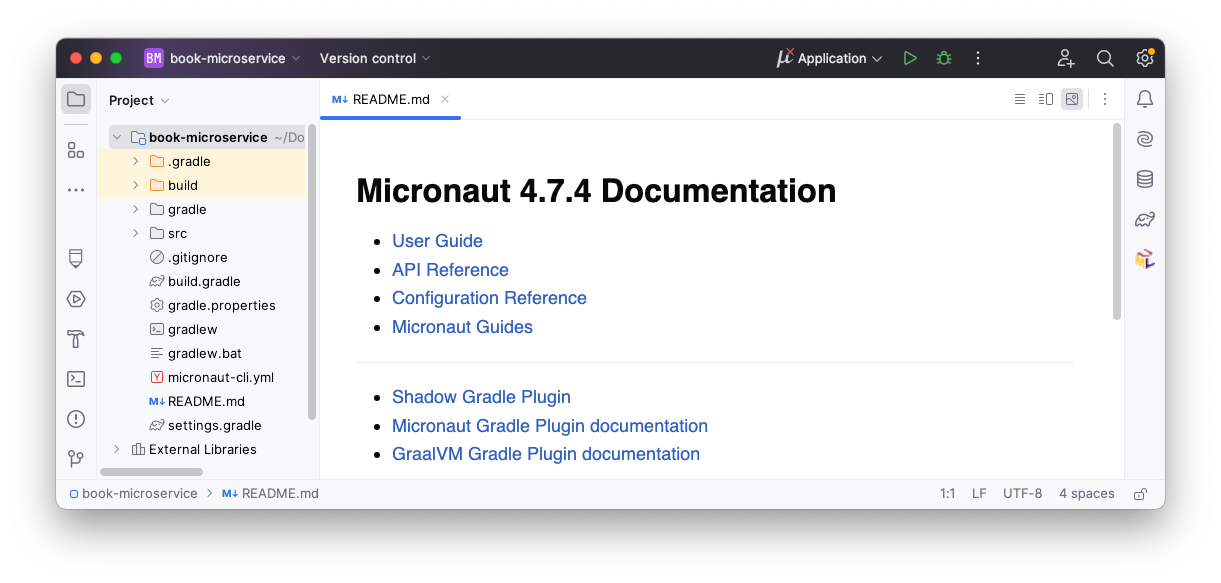 Screenshot of IntelliJ IDEA after opening the project