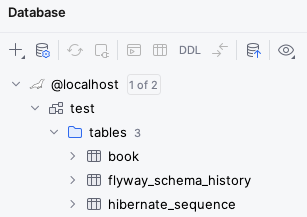 Screenshot of IntelliJ database client after selecting a schema